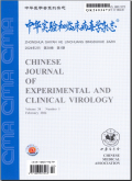 Chinese Journal of Experimental and Clinical Virology